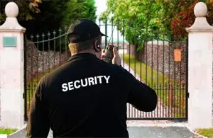 Why Are Security Guards Needed?